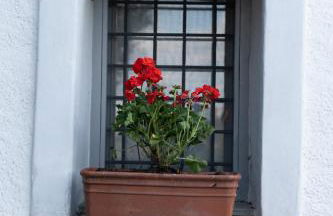 Rustic Rose - Private Premium house - Foto 20