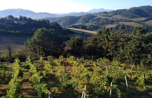 Holiday Home in Urbania With Garden BBQ - Foto 14