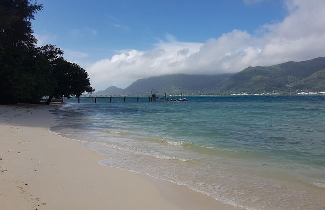 Fairytern Chalets - Photo 12