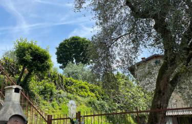 Family House - Foto 13