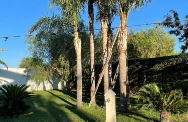 Terra di Negroamaro - Foto 44