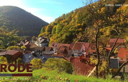 Arode Hütte Harzilein - Romantic tiny house on the edge of the forest - Foto 33