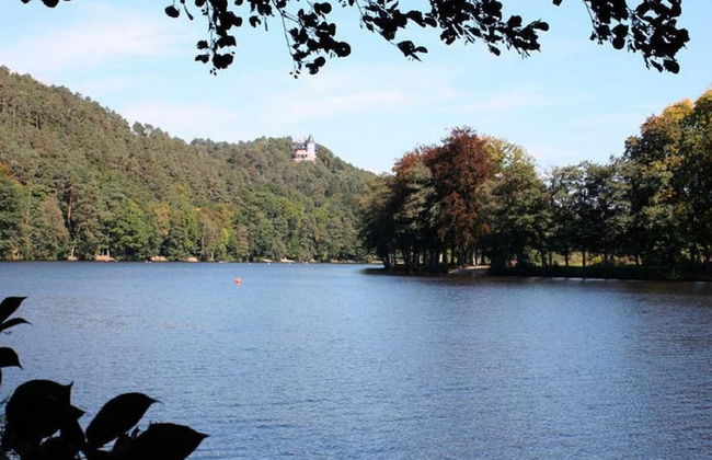 Holiday Home in Verviers With Sauna & Fireplace - Foto 27