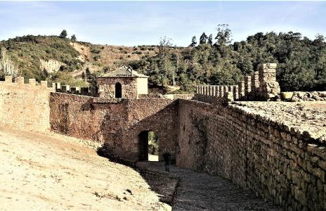 Água Rocha - Foto 40