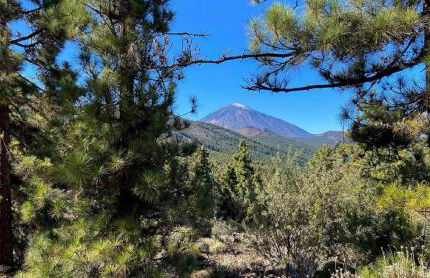 La Casita de Descanso - Das Häuschen der Ruhe - La Luz - La Orotava - Foto 58