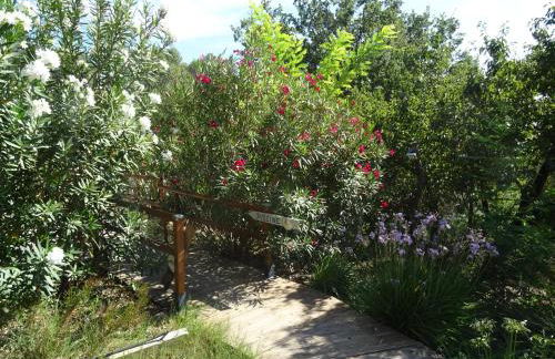 Les Ecrins d'Aix-en-Provence - Foto 66