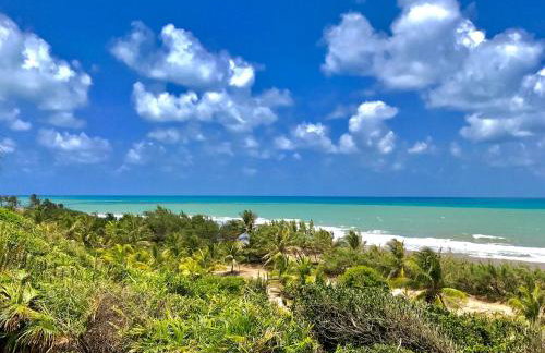 Casa da Gameleira - Foto 17