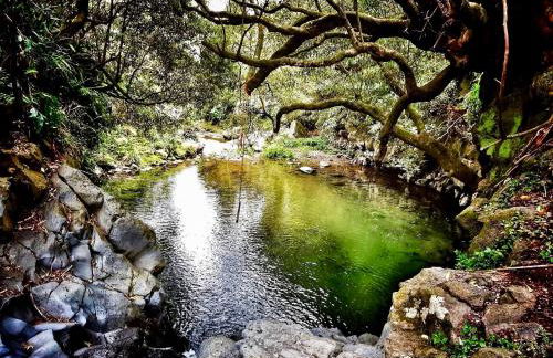 Casa da Cascata do Segredo - Photo 25