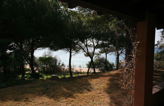 Villa Luisa - Photo 55