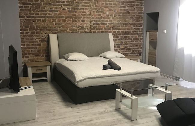 Studio Apartament Centrum Katowice - Foto 11