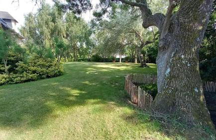 Villa M St Arnoult - Foto 22