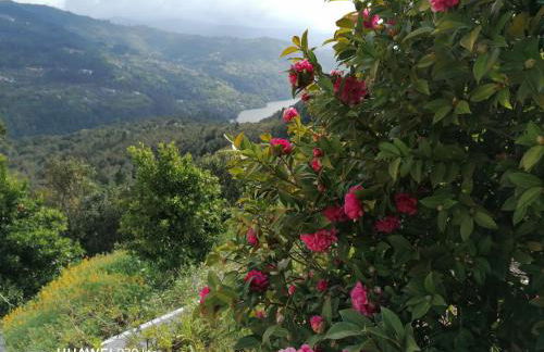 Casa Douro Terrace - Foto 52