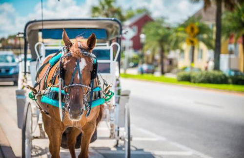 Island Suite - Walk to Downtown! - Foto 22