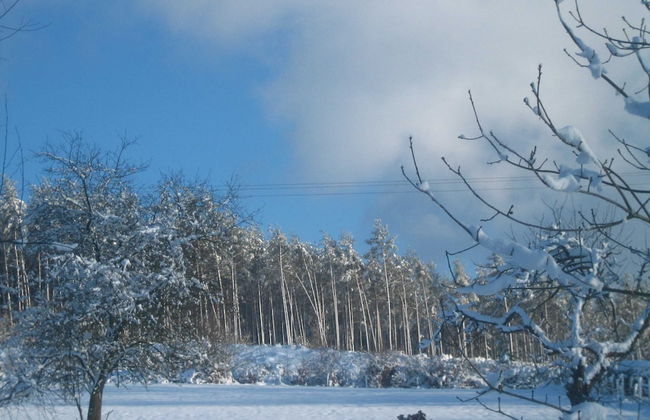 Holiday Home in Fays With Sauna & Hiking - Photo 39