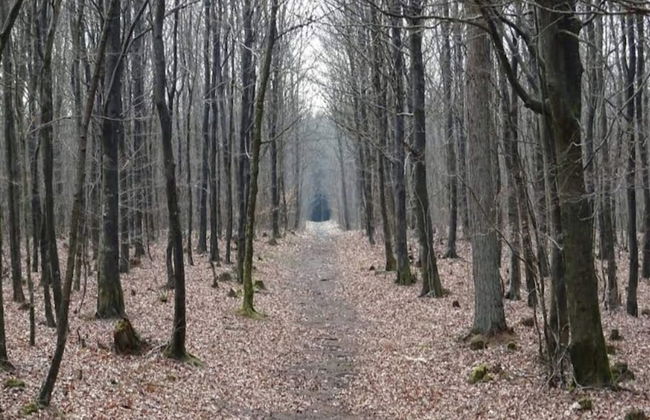 Luxury Retreat With Spa - By Traum Ferienwohnungen - Photo 25