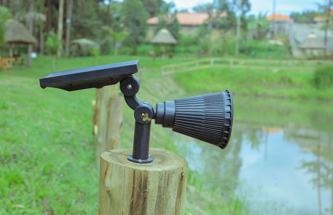 Nyungu Yamawe Forest Park - Foto 34