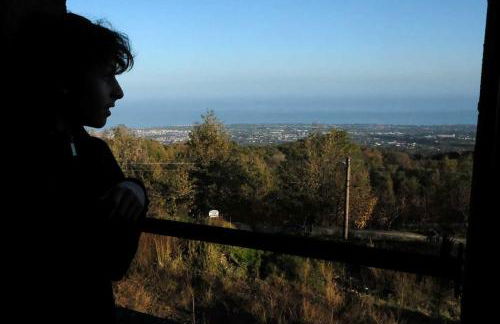 Palmento Milo Agriproduction - Foto 47