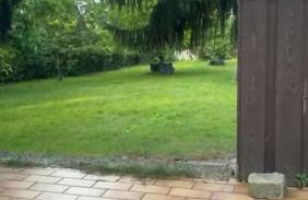 Haus in Rühen - Foto 2