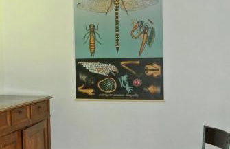 Charmante maison ancienne en Corrèze - Foto 22