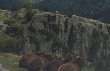 Apartamentos Ca de Marti - Foto 70