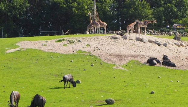 7 Person Holiday Home in Ebeltoft - Foto 2, Miscelánea