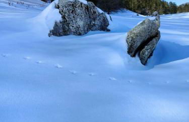 Lo chalet Biancaneve - Foto 6