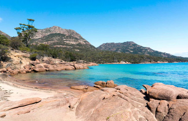 Escursione a Wineglass Bay e Freycinet - Foto 7