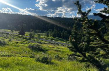 Luxury-Quintessential Montana Retreat! - Foto 5