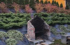 Oskarówka Kaszuby z balią - Foto 18