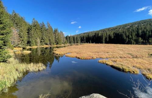 Ferienwohnung Penzkofer - Foto 42