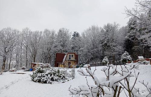 Szumią Dęby - Marcyporęba - Photo 47