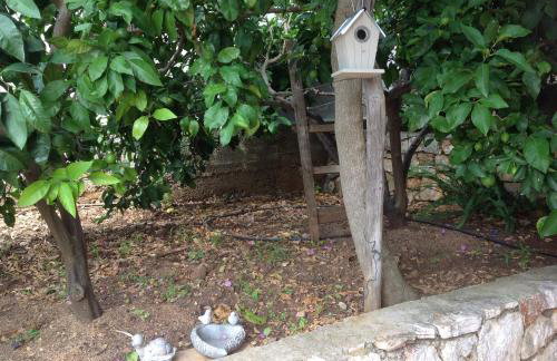 Apartmani Roić - Foto 7