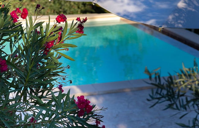 Tenuta Olive Alive - Foto 53