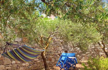 AMPELIA KYTHIRA - Foto 79