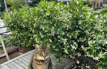 La casa sul lago di Napoli - Foto 3