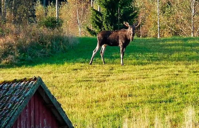 4 Person Holiday Home in Dingle - Foto 19