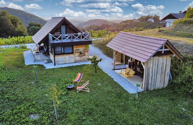 Vineyard cottage Vinska grajska kašča - Foto 56