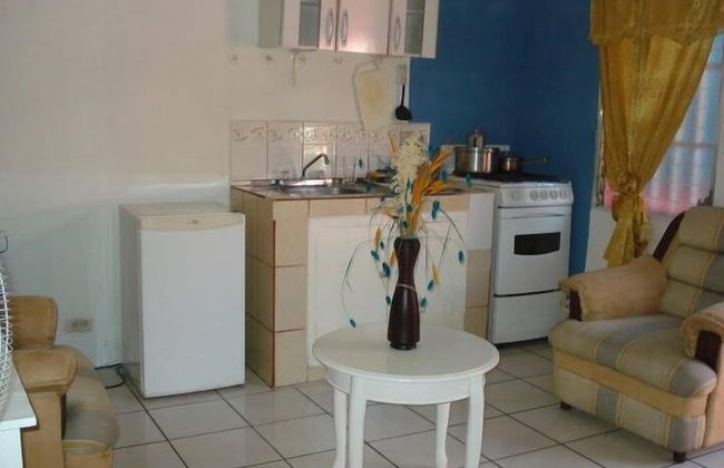 Apartamentos Los Angeles Managua - Photo 9