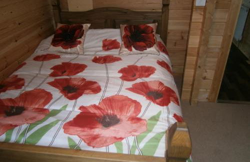 Long Mountain Centre Log Cabins - Foto 34