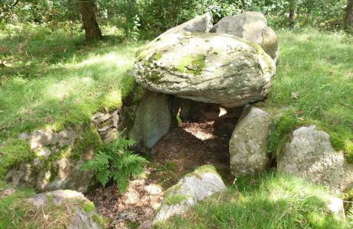 Holiday Home Wollspeicher - Foto 21