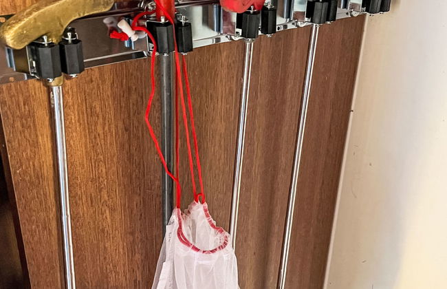 Waldrauschen - Foto 27