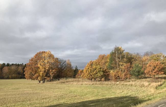 Sjöstuga Myttinge Waterfront - Photo 24