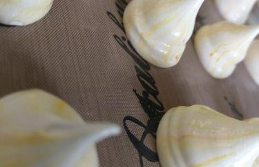 Mansion House Llansteffan - Foto 10