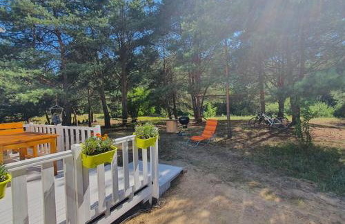 Holenderki na Zielonych Wzgórzach, Łowyń - Foto 9