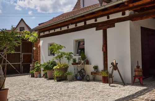 Winzerlodge, Wohnung Kirchberg - Foto 31