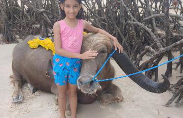 Hoste sol nascente - Photo 6