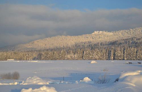 Hans Girgl Hof - Foto 40