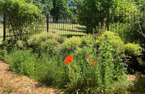 Luxe, landelijke vakantiewoning der alte Birnenbaum Duitsland-Sankt Wendel - Foto 49