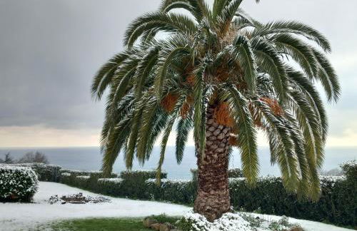 Epotx Etxea - Foto 58