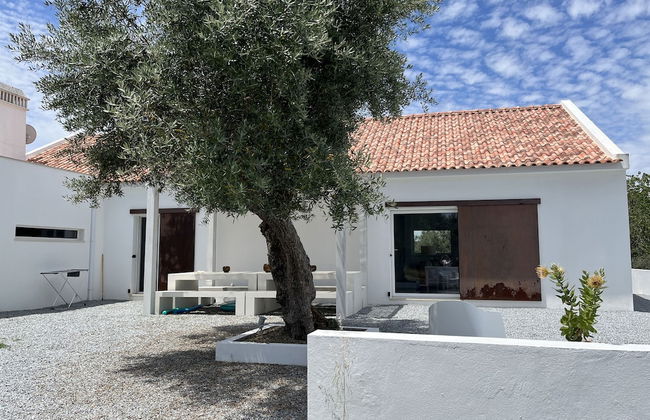 Fazenda do Pomar - Foto 58